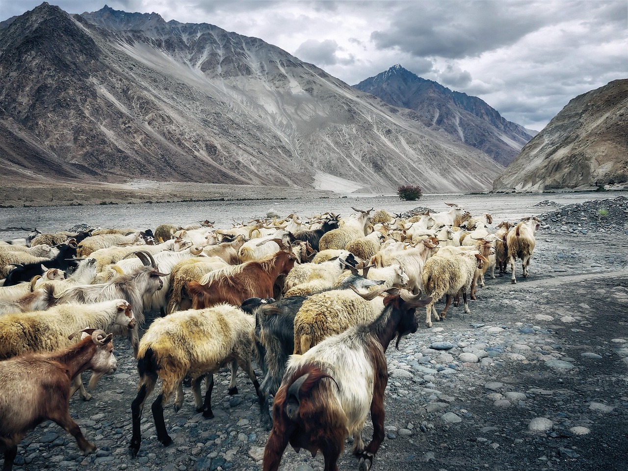 Is Best Live Casino Reviews India Legal in India? Full Legal Analysis 2027